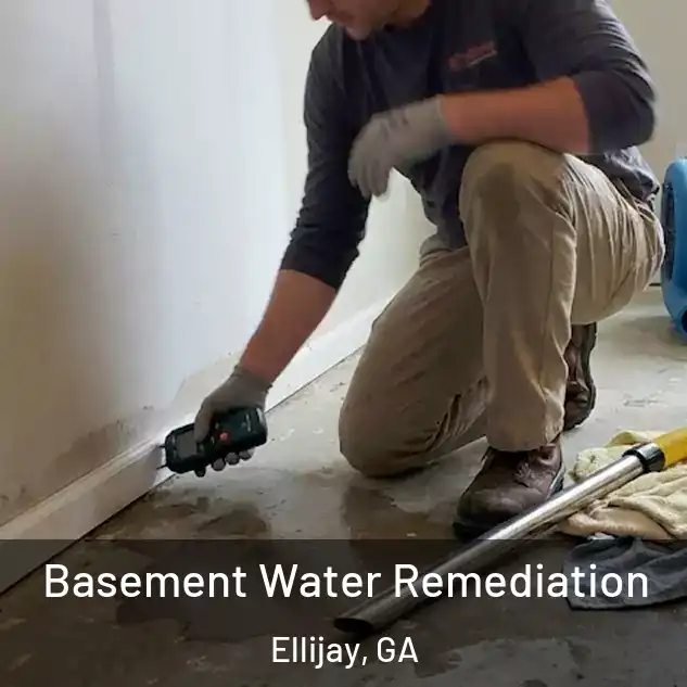  Basement Water Remediation Ellijay, GA