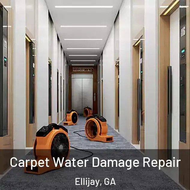  Carpet Water Damage Repair Ellijay, GA