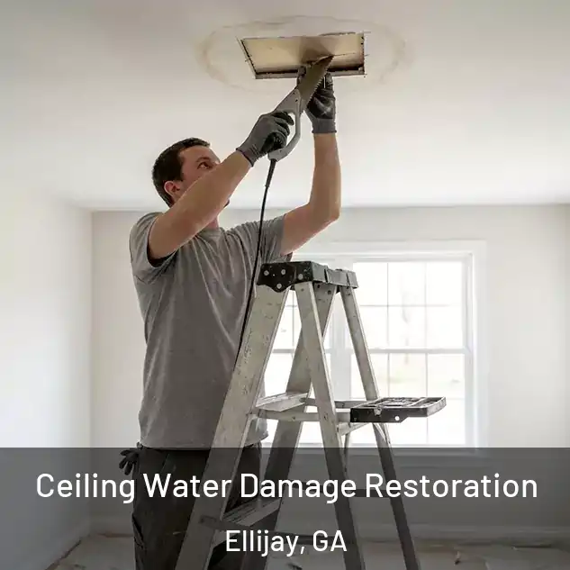  Ceiling Water Damage Restoration Ellijay, GA