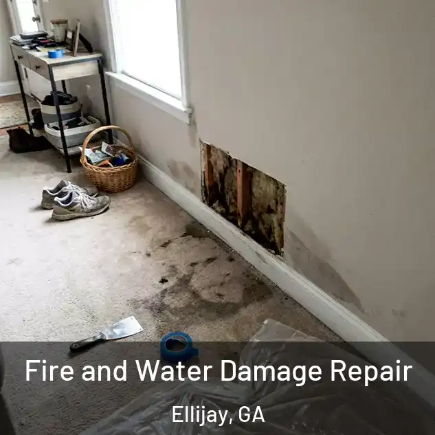  Fire and Water Damage Repair Ellijay, GA