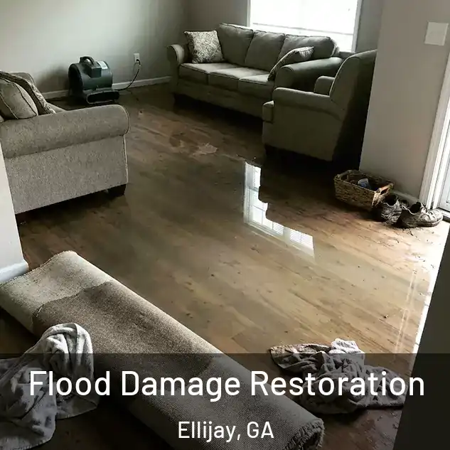  Flood Damage Restoration Ellijay, GA