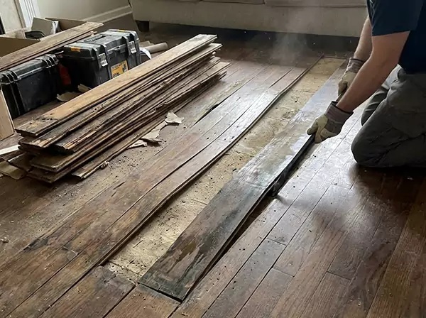 Water Damage Drying in Ellijay