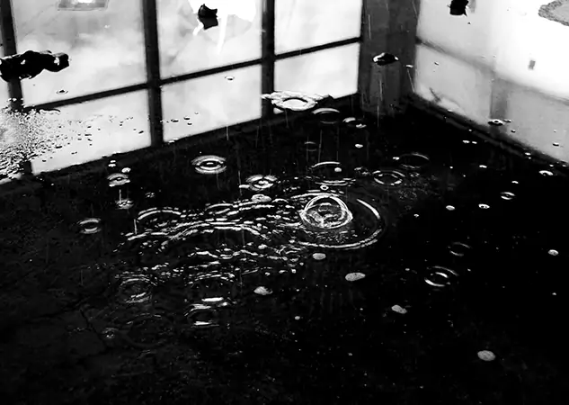 Your Contaminated Water Removal Specialists in Ellijay, GA