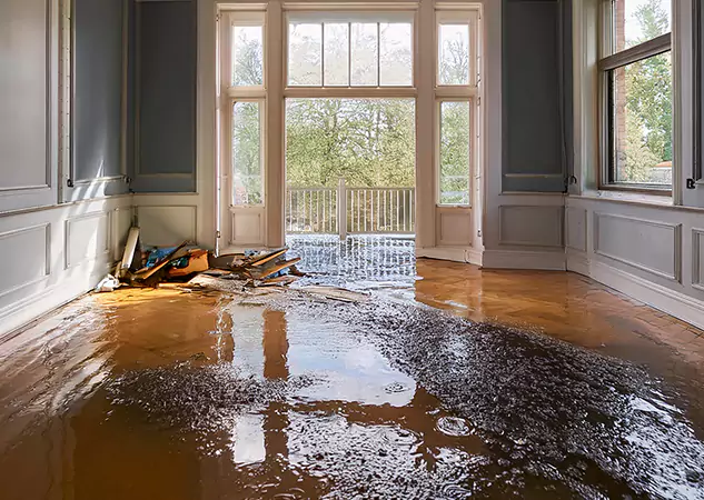 Your Disaster Restoration Services in Ellijay, GA