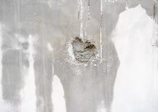 Your Mold Mitigation Solutions Partner in Ellijay, GA
