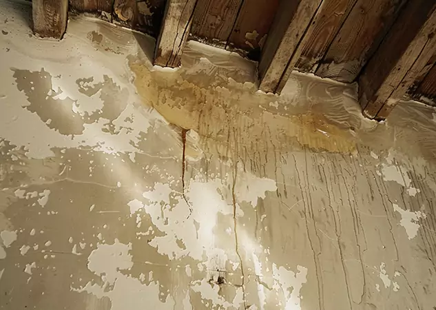 Your Trusted Restoration Company in Ellijay, GA