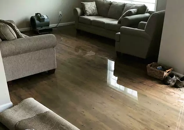 Your Trusted Restoration Company in Ellijay, GA