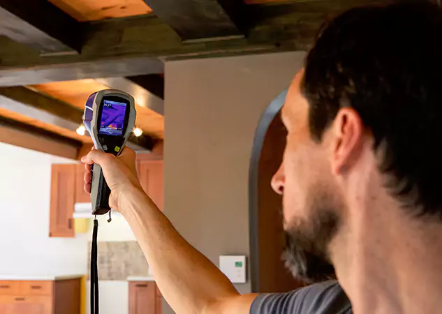 Trusted Water Damage Evaluation: Your Certified Partner in Ellijay, GA