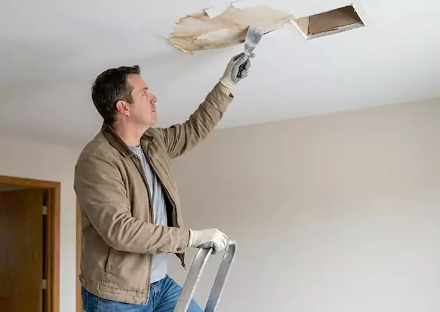 Your Ceiling Damage Repair Experts in Ellijay, GA