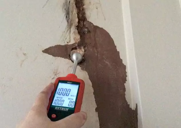 Your Water Damage Assessment Partner in Ellijay, GA