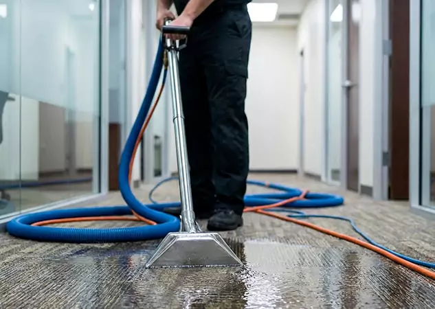 Your Water Damaged Carpet Restoration Partner in Ellijay, GA