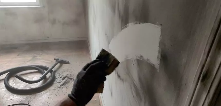Professional Water and Fire Damage Restoration Services in Ellijay, GA