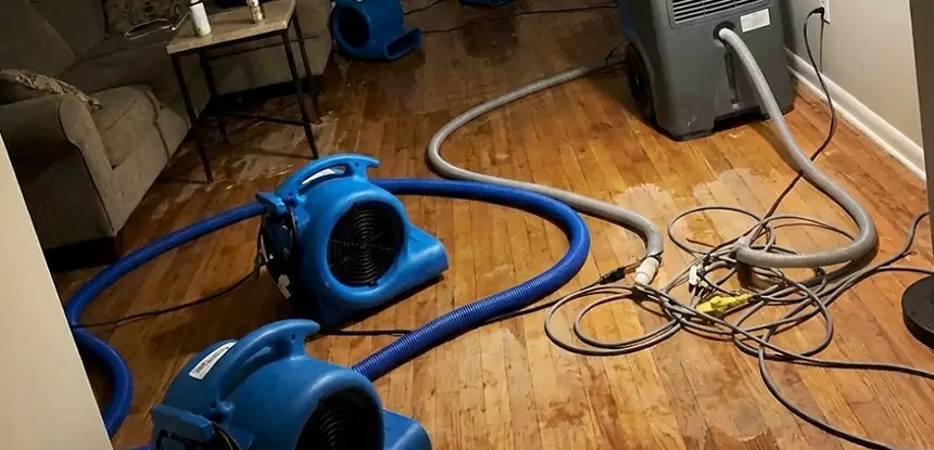 Basement Flood Restoration Services in Ellijay