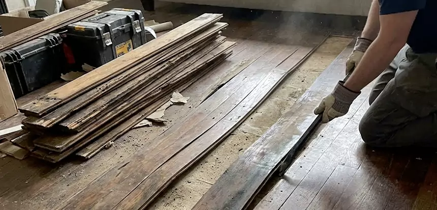 Wood Rot and Fungus Repair in Ellijay
