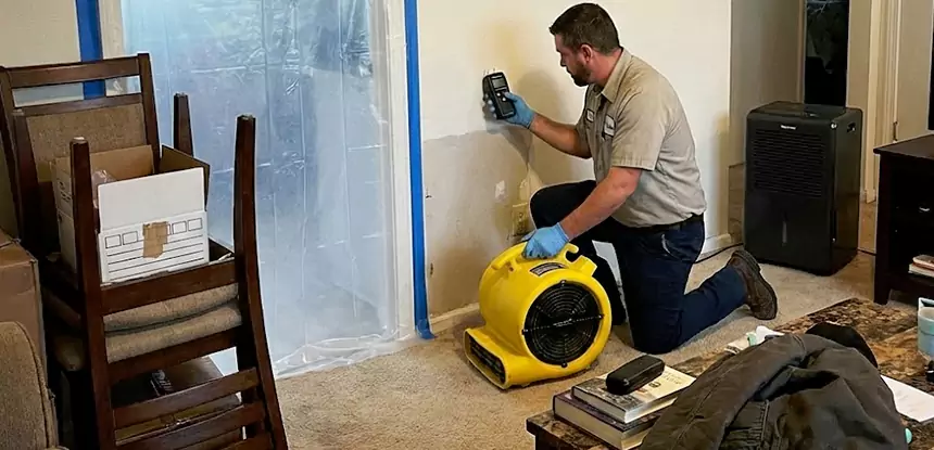 Carpet Water Damage Repair Ellijay