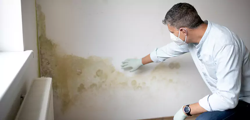 Mold and Water Damage Repair in Ellijay