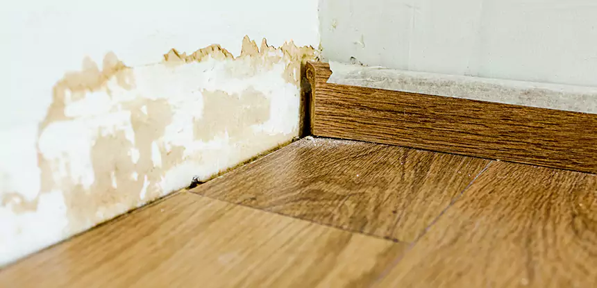 Professional Fix Water Damaged Wood Services in Ellijay, GA