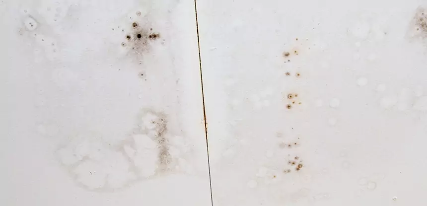 Professional Water Stain Repair Services in Ellijay, GA