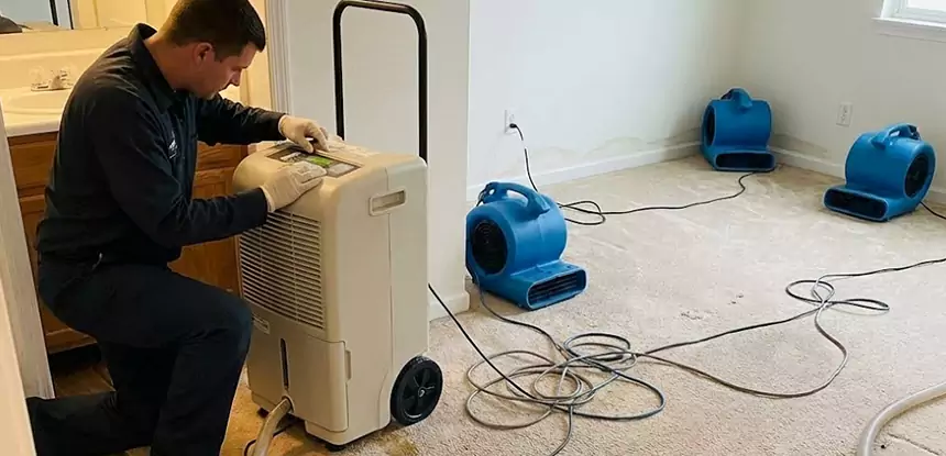 Professional Wet Carpet Removal Services in Ellijay, GA