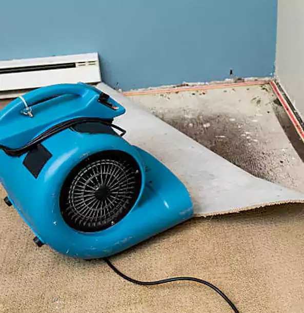 Why Ellijay Trusts Ellijay Restoration Pro for Carpet Flood Recovery?