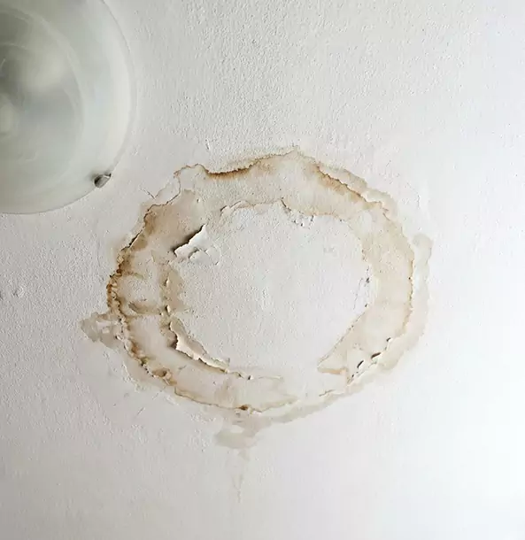 Why Ellijay Property Owners Choose Ellijay Restoration Pro for Ceiling Water Damage Restoration?
