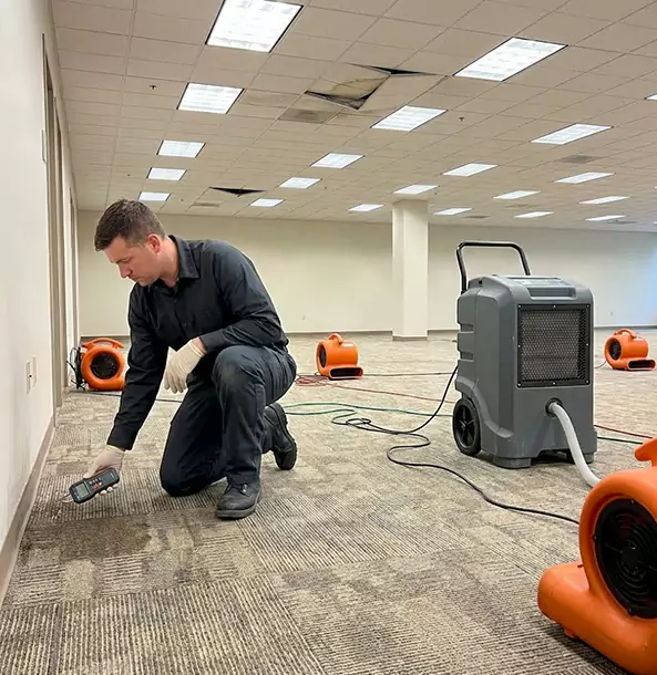 Why Ellijay Businesses Choose Ellijay Restoration Pro for Water Cleanup?