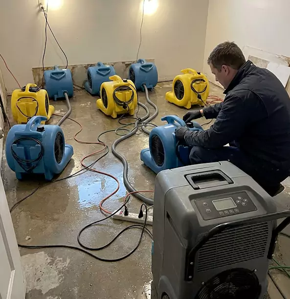 Why Ellijay Businesses Trust Ellijay Restoration Pro for Water Damage Response?