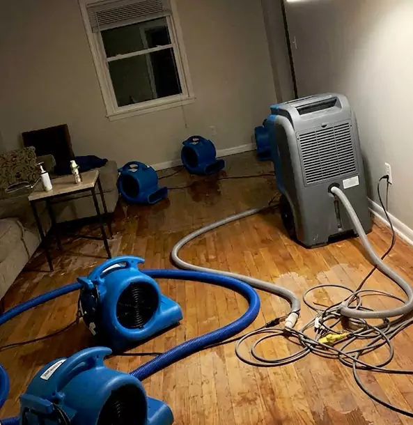 Why Ellijay Calls Ellijay Restoration Pro First for Emergency Restoration?