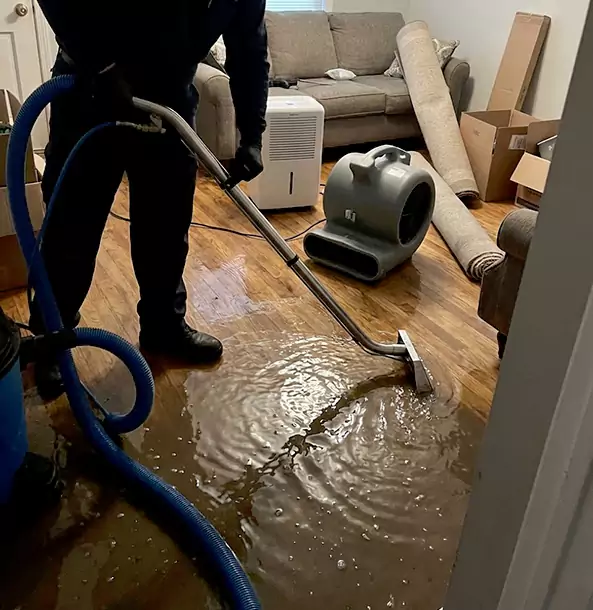 Why Ellijay Trusts Ellijay Restoration Pro for Flood Cleanup?