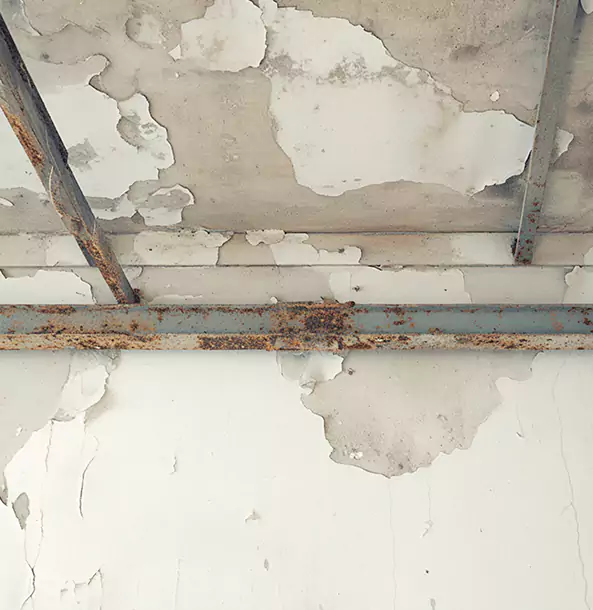 Why Ellijay Restoration Pro Is the Right Choice in Ellijay, GA?