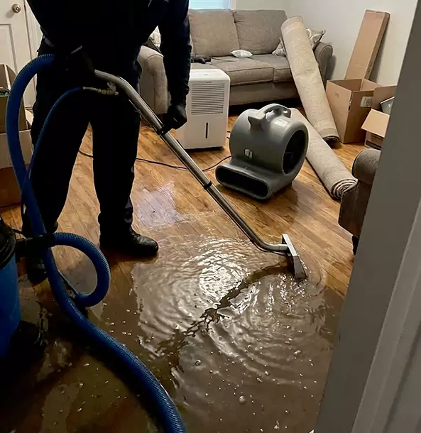Why Ellijay Trusts Ellijay Restoration Pro for Sewage Cleanup?