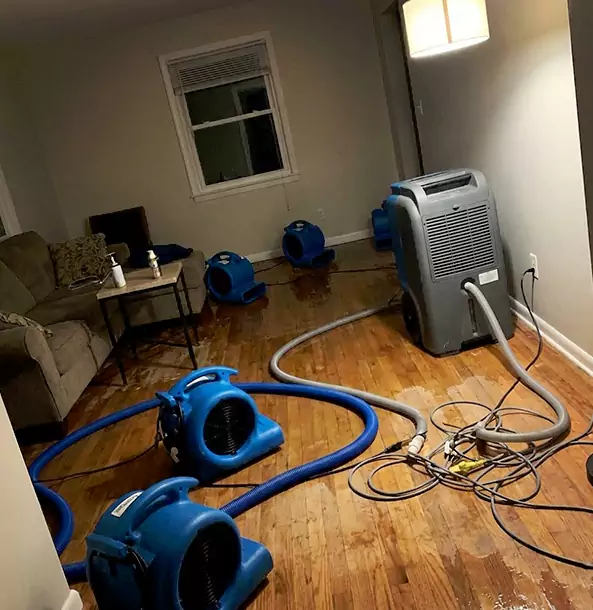 Why Ellijay Property Owners Rely on Ellijay Restoration Pro for Remediation?