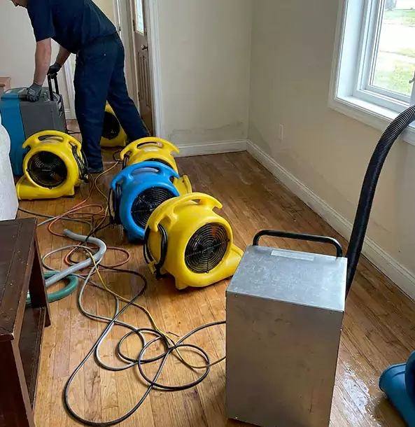 Why Ellijay Property Owners Choose Ellijay Restoration Pro for Remediation?
