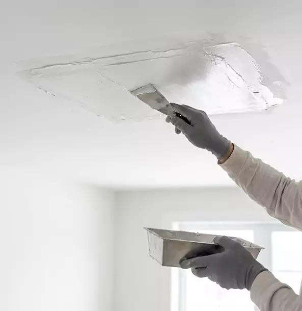 Why Ellijay Homeowners Trust Ellijay Restoration Pro for Ceiling Water Damage Repair?