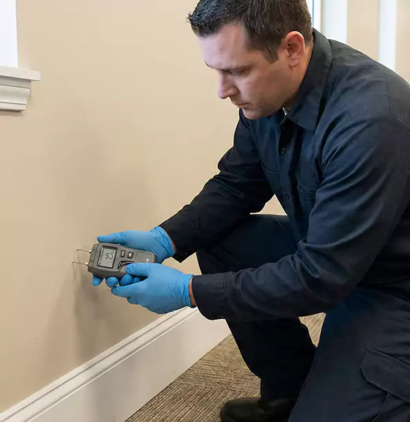 Why Ellijay Property Owners Trust Ellijay Restoration Pro for Leak Detection?