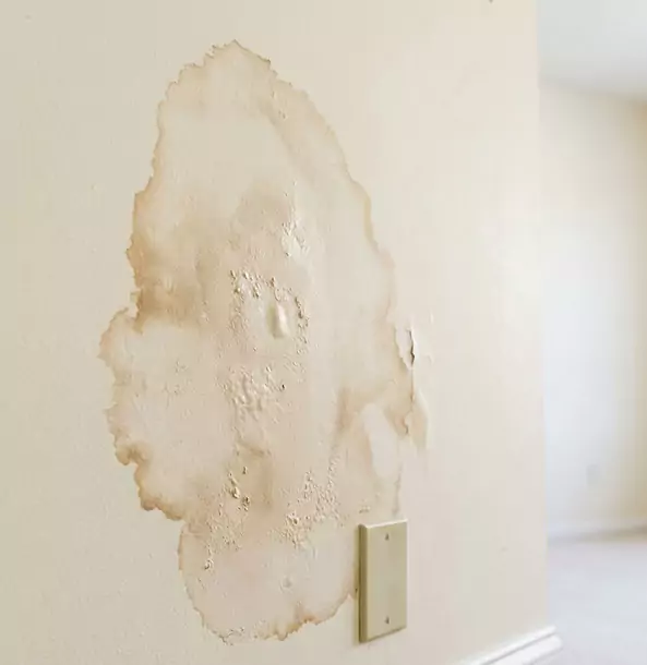 Why Ellijay Homeowners Trust Ellijay Restoration Pro for Drywall Restoration?