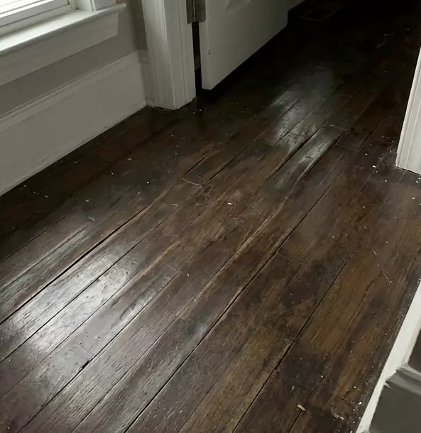 Why Ellijay Homeowners Trust Ellijay Restoration Pro to Fix Water Damaged Wood?