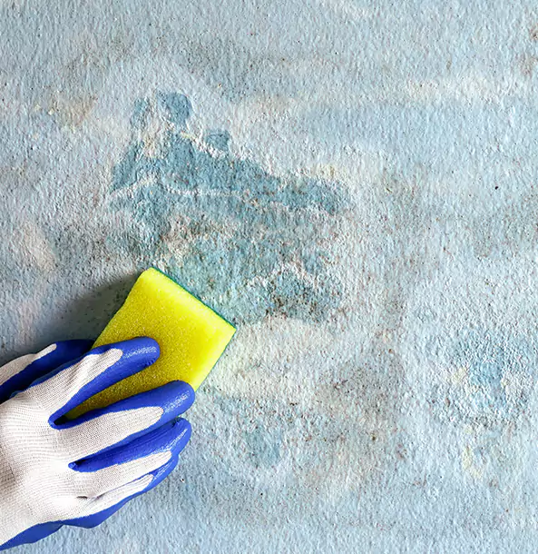 Why Ellijay Restoration Pro Is the Right Choice in Ellijay, GA?