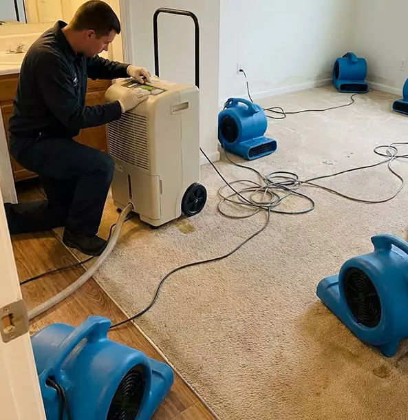 Why Ellijay Homeowners and Businesses Trust Ellijay Restoration Pro for Carpet Drying?