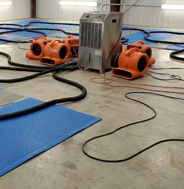 Why Ellijay Homeowners and Businesses Choose Ellijay Restoration Pro for Wet Carpet Removal?