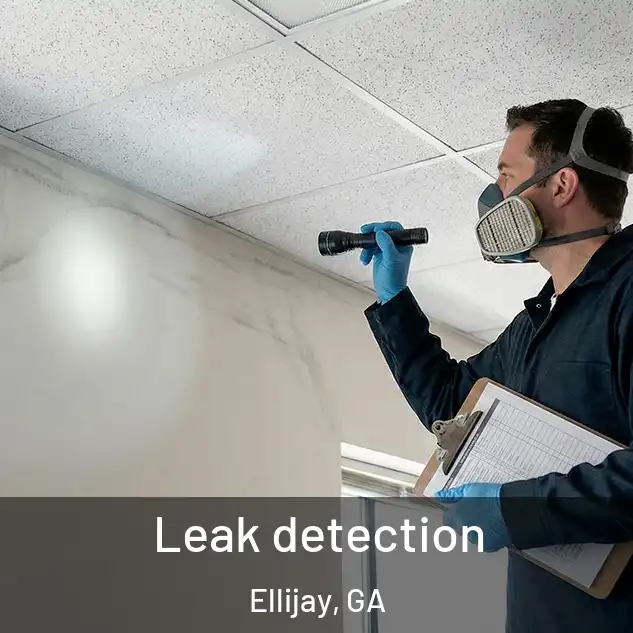  Leak detection Ellijay, GA