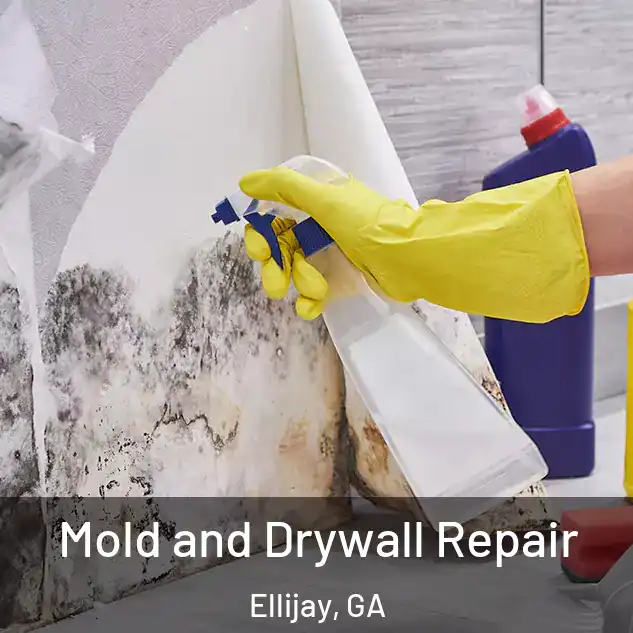  Mold and Drywall Repair Ellijay, GA