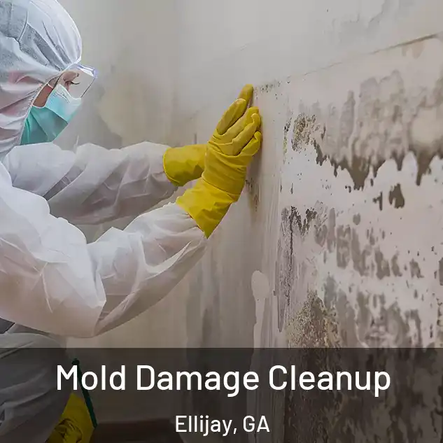  Mold Damage Cleanup Ellijay, GA