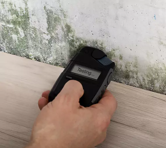 Mold Remediation Service Ellijay