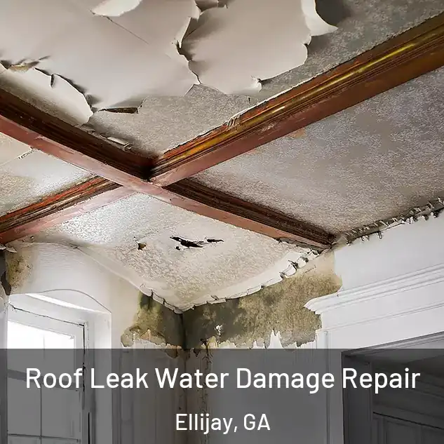  Roof Leak Water Damage Repair Ellijay, GA