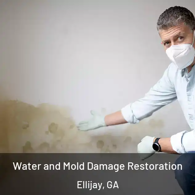  Water and Mold Damage Restoration Ellijay, GA