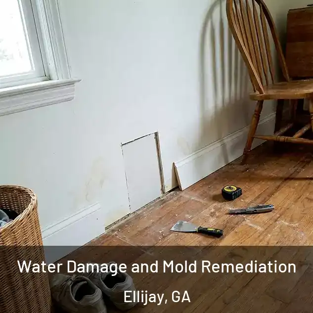  Water Damage and Mold Remediation Ellijay, GA