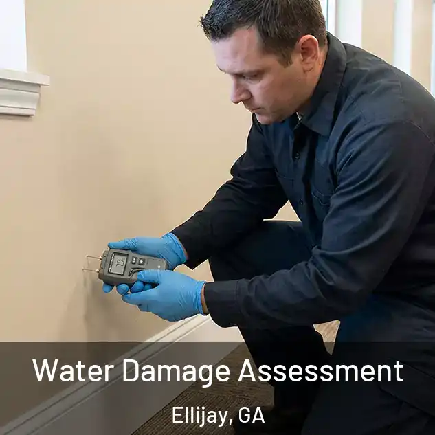  Water Damage Assessment Ellijay, GA