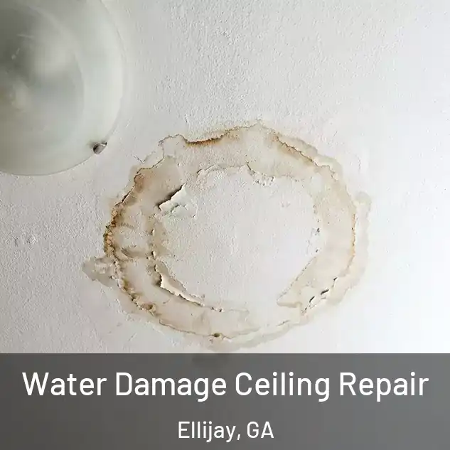  Water Damage Ceiling Repair Ellijay, GA