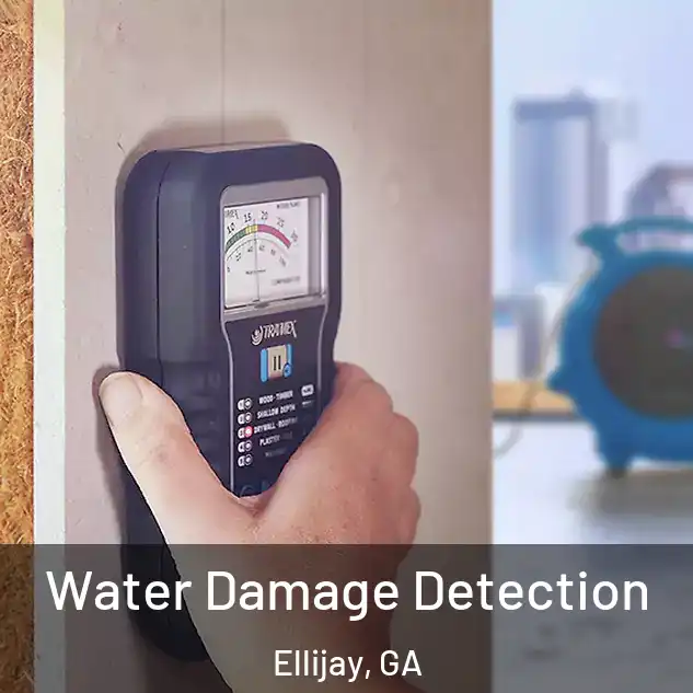  Water Damage Detection Ellijay, GA